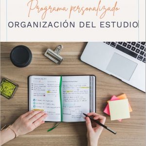 Programa personalizado 2022 ORGANIZACIÓN DEL ESTUDIO